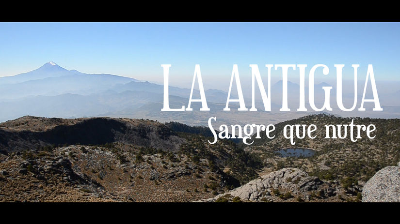 La Antigua: Sangre que nutre. Cuenca la Antigua, Ver.